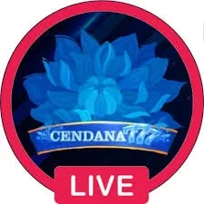 cendana777 APK Terbaru untuk Perangkat Android dan juara666: Rangkuman Brand yang Banyak Dicari